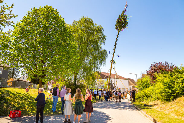 Thumbnail: _JA 31272 Maifest Hohenried 2026.jpg